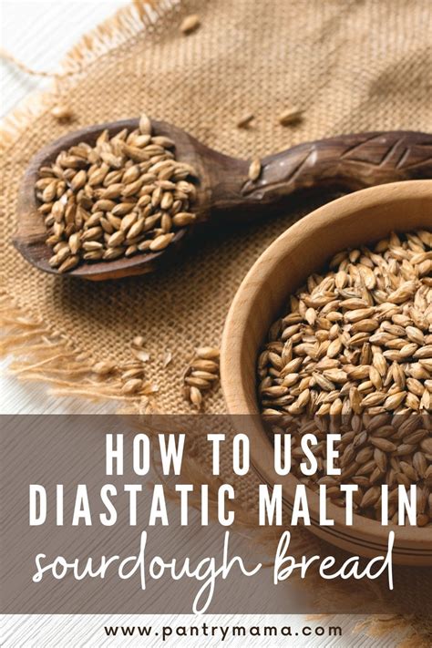 uses for diastatic malt powder.